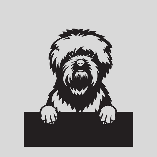Wandstaal Naambord - Affenpinscher Hond