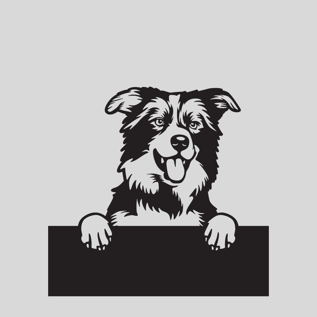 Wandstaal Naambord - Border Collie Hond