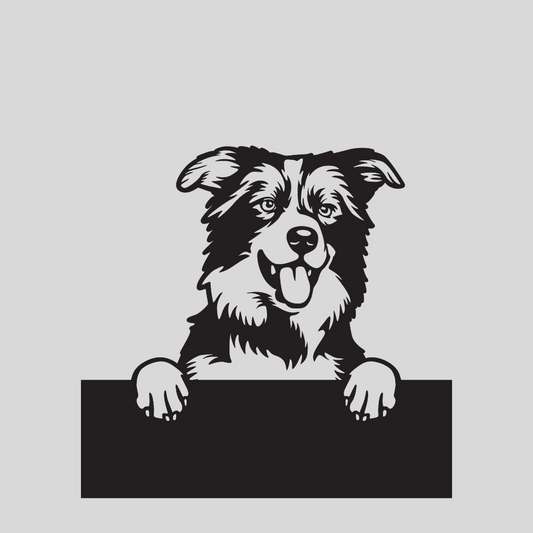 Wandstaal Naambord - Border Collie Hond