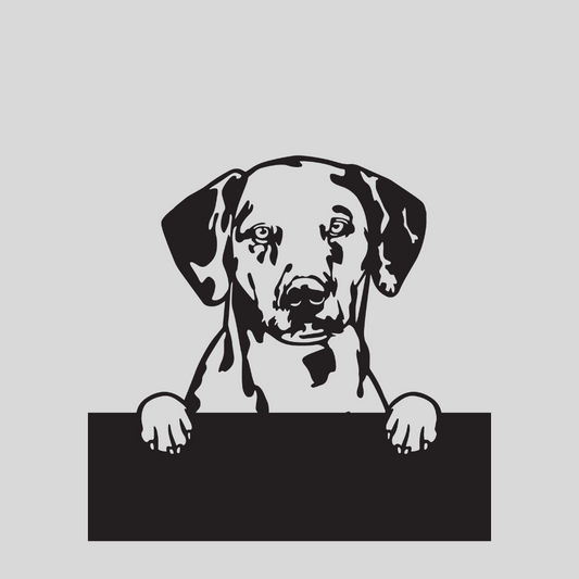 Wandstaal Naambord - Dalmatiër Hond