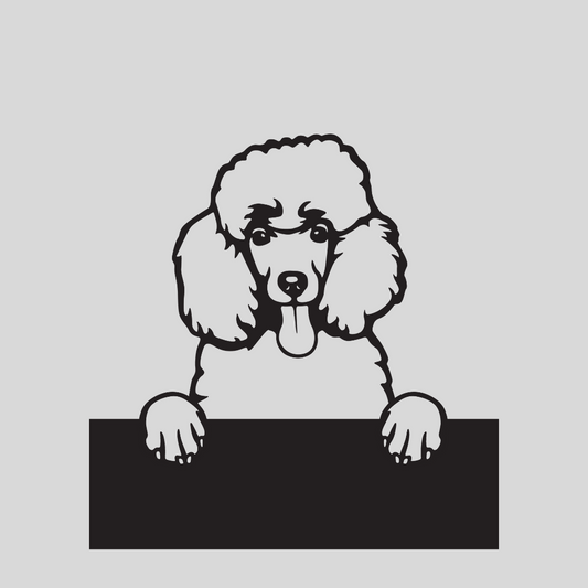 Wandstaal Naambord - Poedel / Poodle Hond