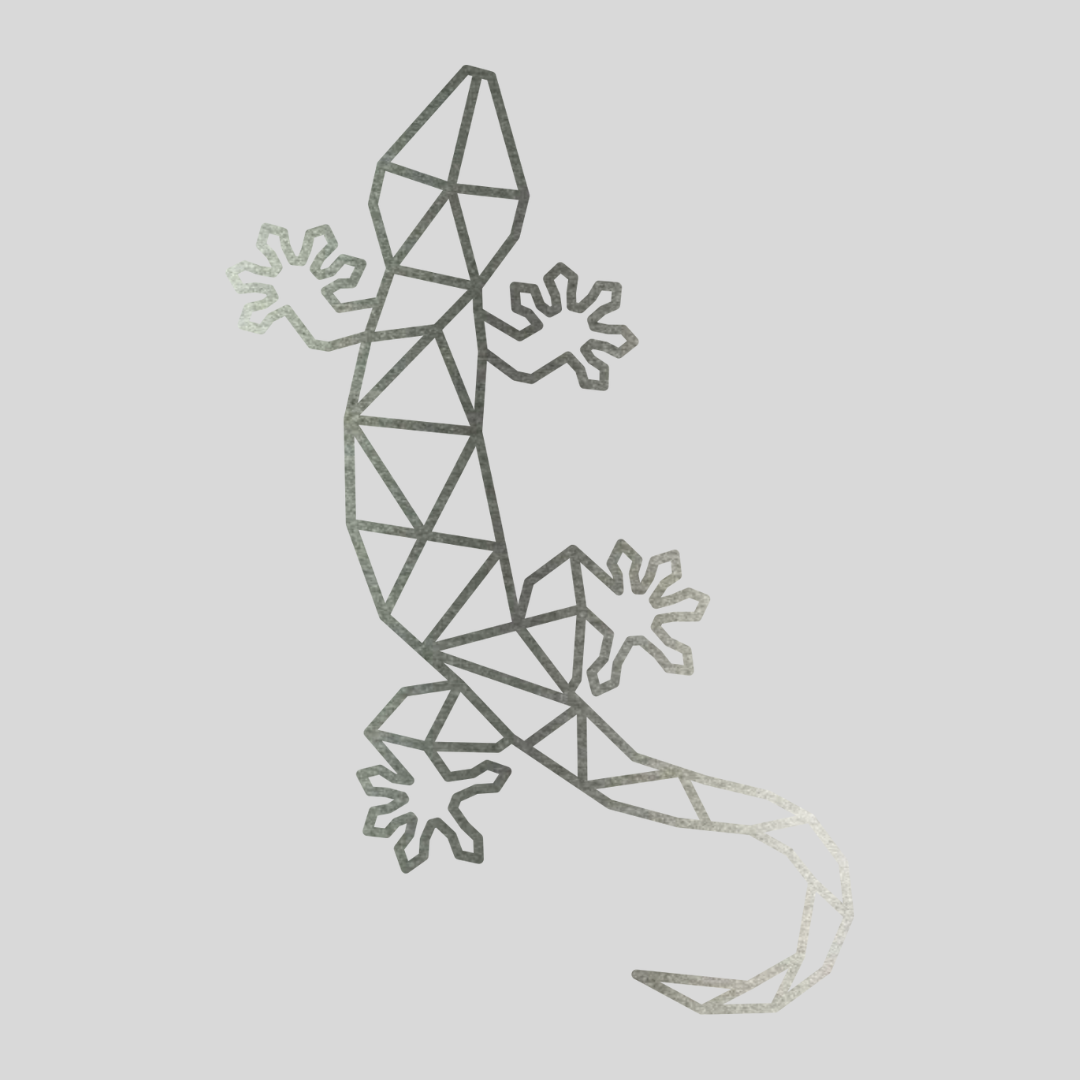 Geometrische Hagedis Staal