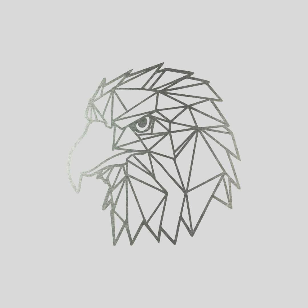 Geometrische Havik Staal