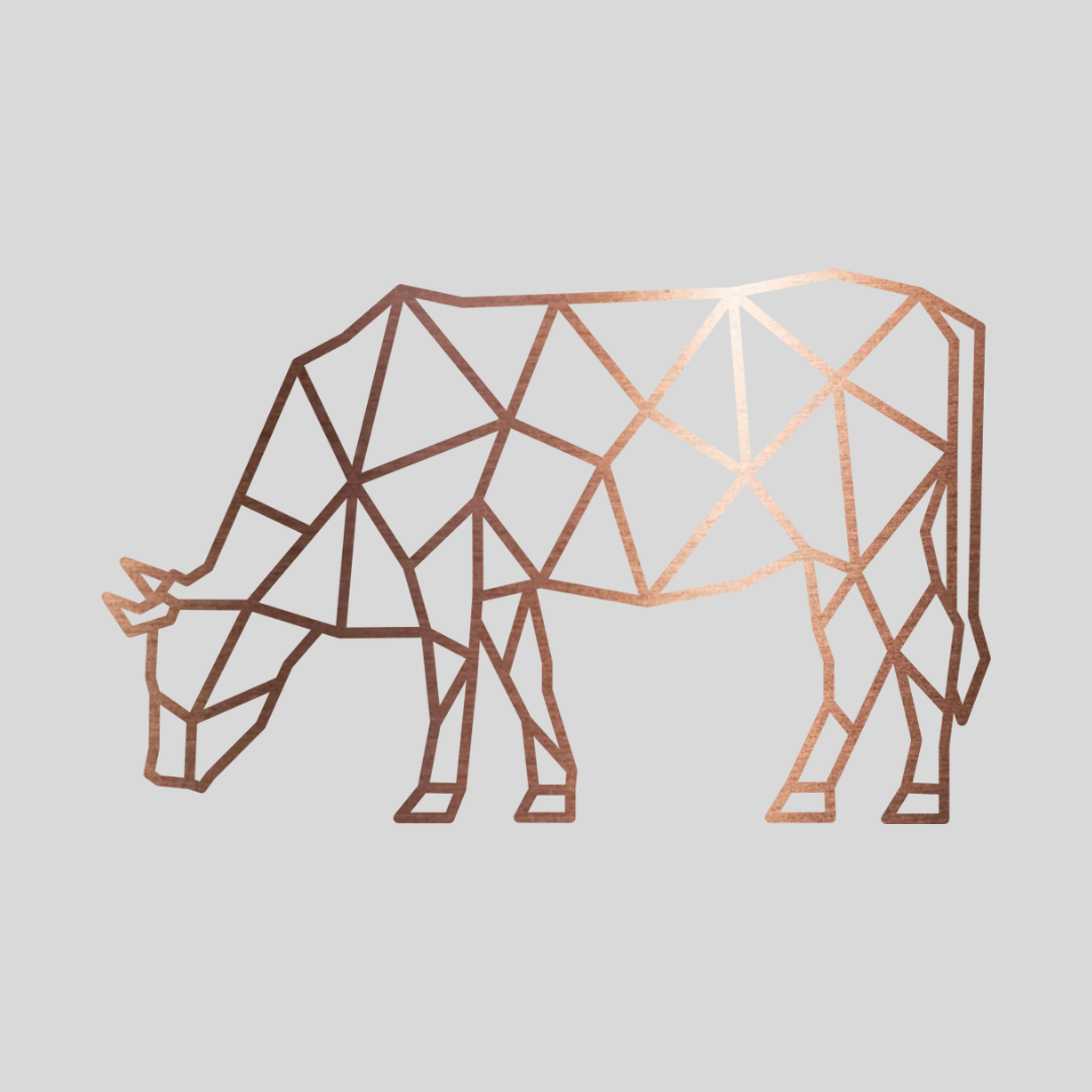 Geometrische Koe Staal