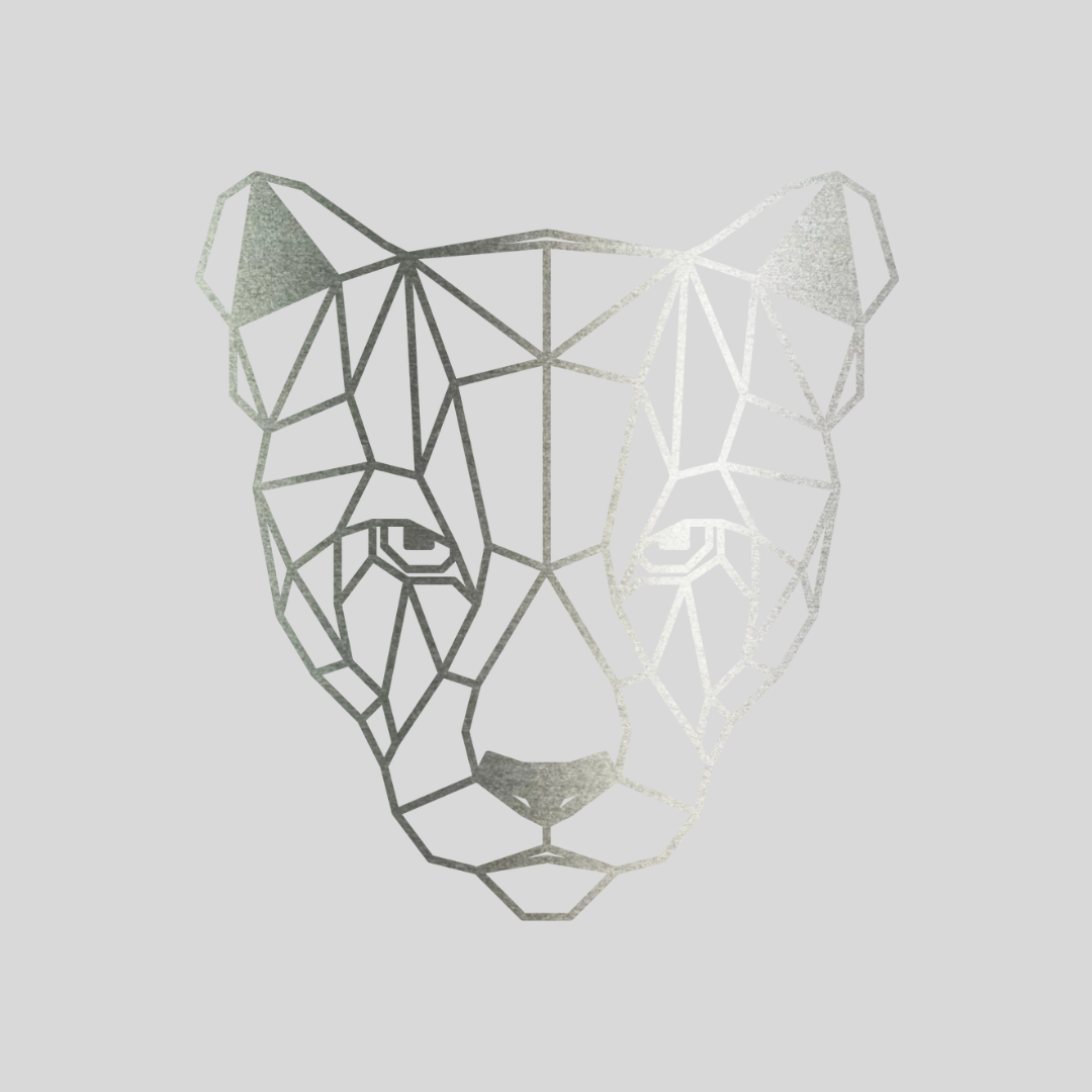 Geometrische Puma Staal