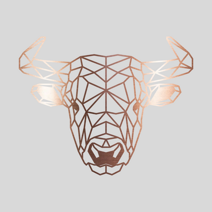 Geometrische Stier Staal