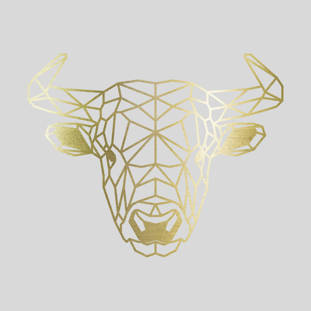 Geometrische Stier Staal