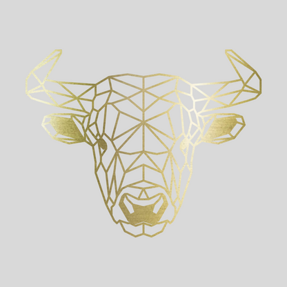 Geometrische Stier Staal